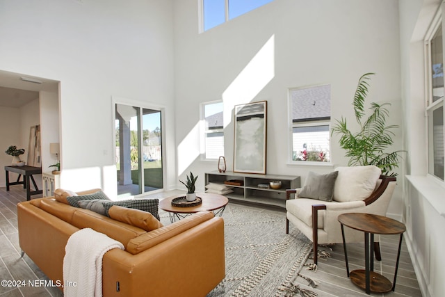 interior space with hardwood / wood-style floors, a healthy amount of sunlight, and a high ceiling