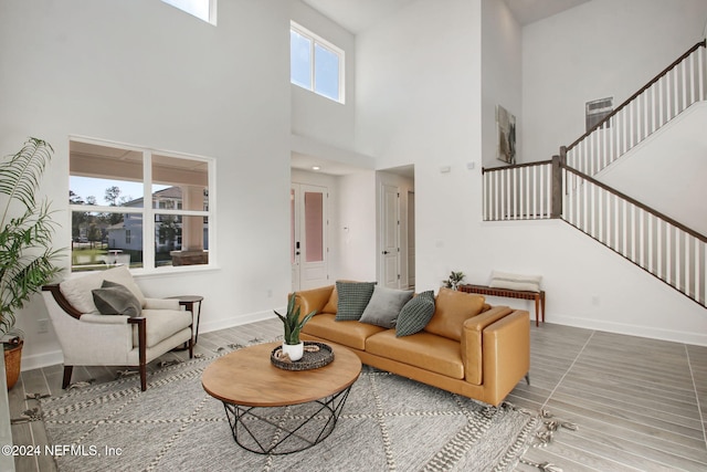 living room with a high ceiling and hardwood / wood-style floors