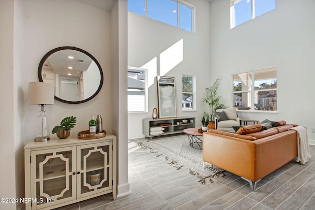 living room featuring a towering ceiling and wood-type flooring