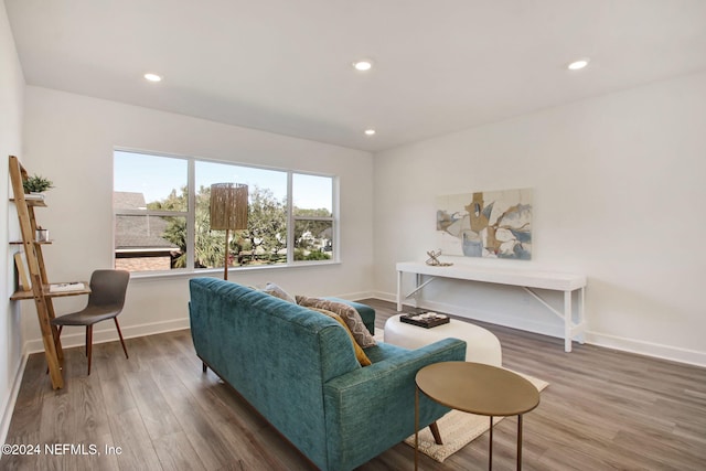 living room with wood-type flooring