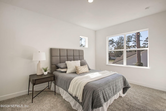 bedroom featuring carpet floors