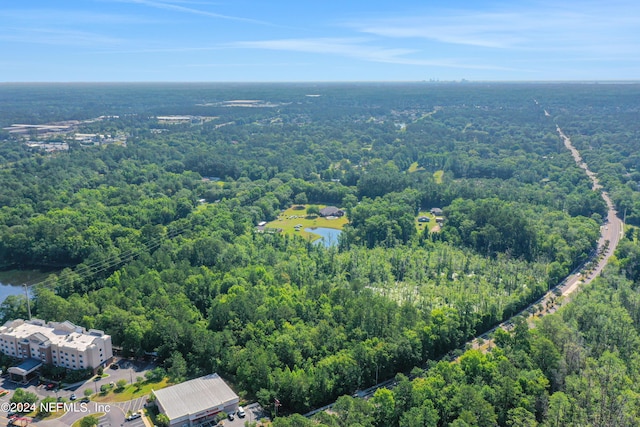 10745 Crystal Springs Rd, Jacksonville, FL 32221 - photo 7