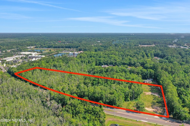10745 Crystal Springs Rd, Jacksonville, FL 32221 - photo 10