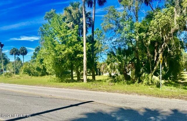 3000 Elm St, Welaka FL, 32189 land for sale