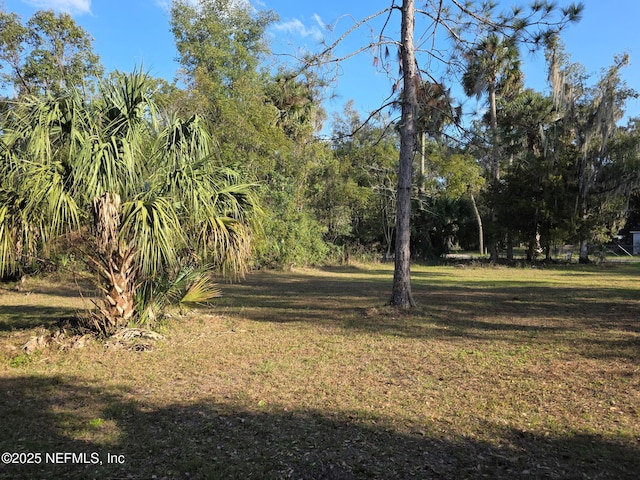 3000 Elm St, Welaka FL, 32189 land for sale