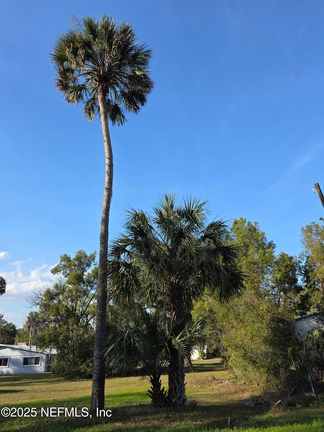 3000 Elm St, Welaka, FL 32189 - photo 4