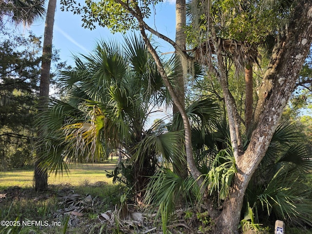 3000 Elm St, Welaka, FL 32189 - photo 6