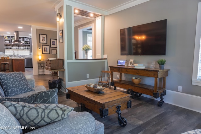 living room featuring sink, crown molding, and wood-type flooring