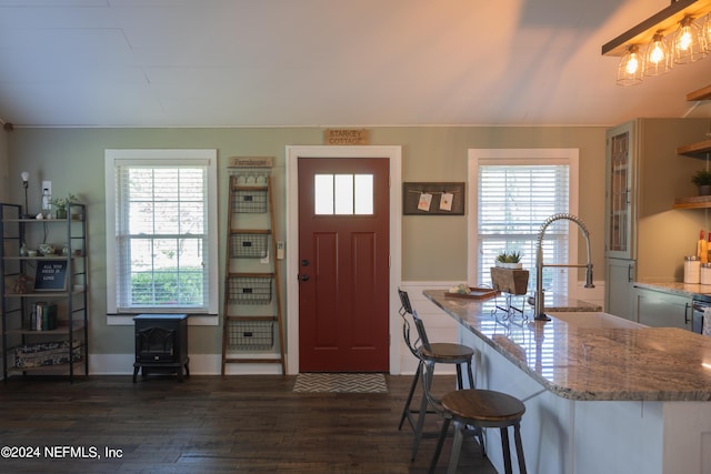 foyer with sink, a wealth of natural light, and dark wood-type flooring