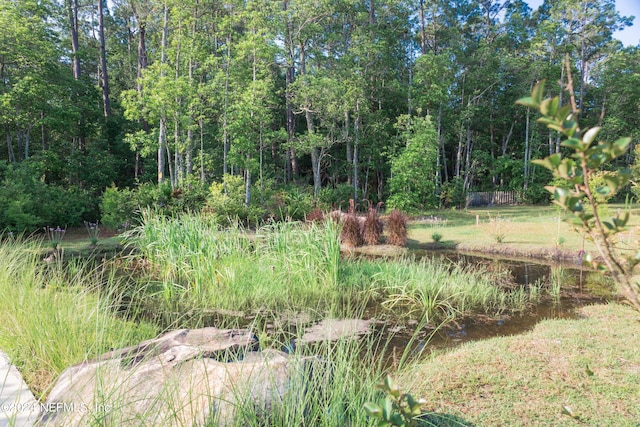 view of yard featuring a water view