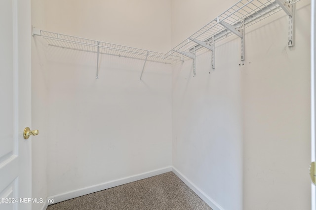 spacious closet with carpet flooring