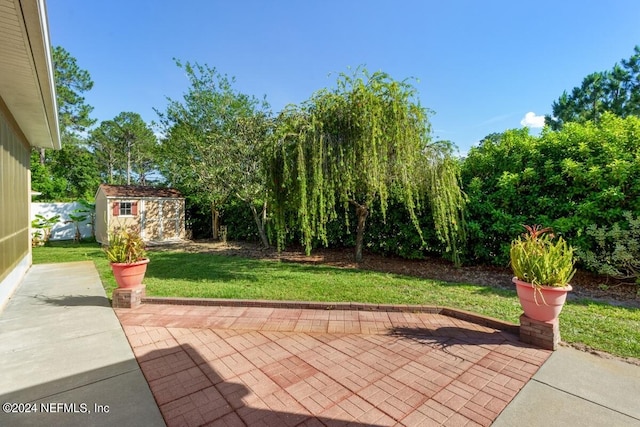 view of patio / terrace with a storage shed