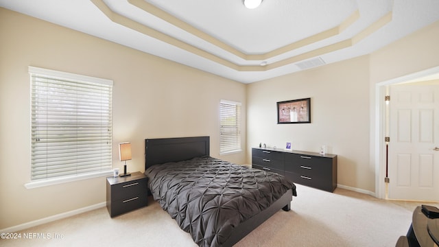 carpeted bedroom featuring a raised ceiling