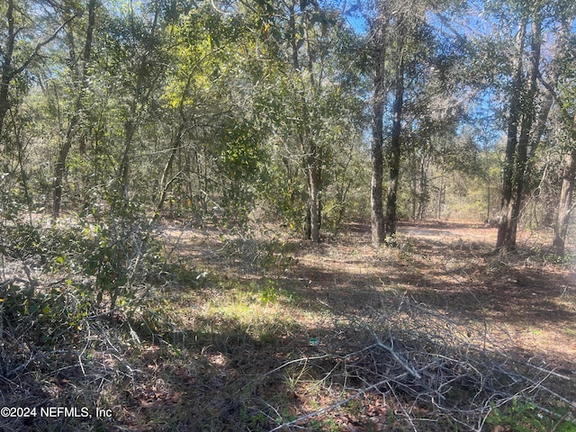 109 Pine Trl, Melrose FL, 32666 land for sale