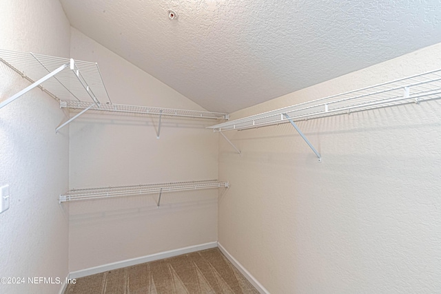 spacious closet with carpet and lofted ceiling