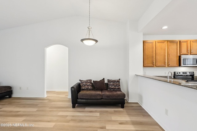 living area with light hardwood / wood-style floors and vaulted ceiling