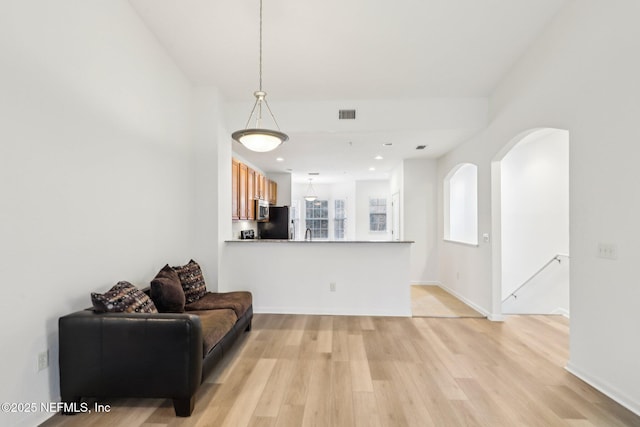 living room featuring light hardwood / wood-style flooring