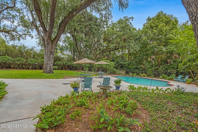 view of pool featuring a patio area and a yard