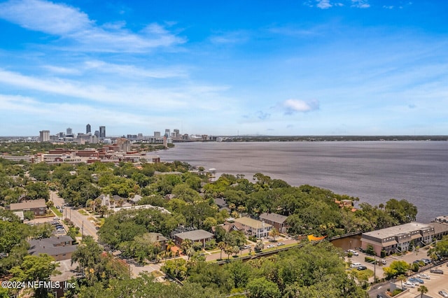 aerial view with a water view