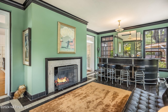 interior space featuring bar area, dark hardwood / wood-style flooring, and crown molding