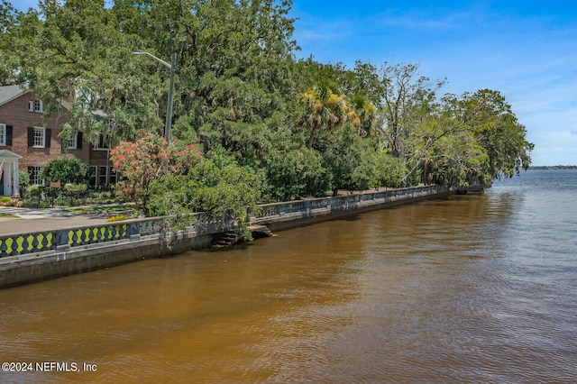 view of dock with a water view