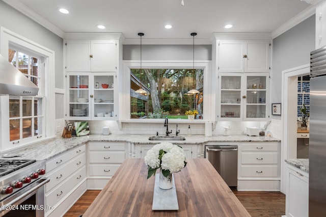 kitchen with white cabinets, sink, tasteful backsplash, and high end appliances