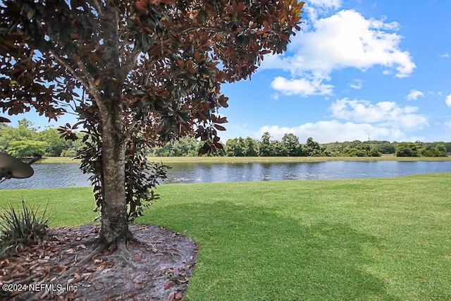 view of water feature