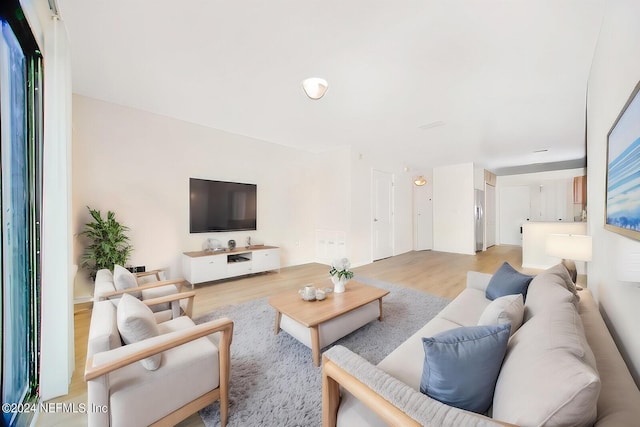 living room featuring light hardwood / wood-style flooring