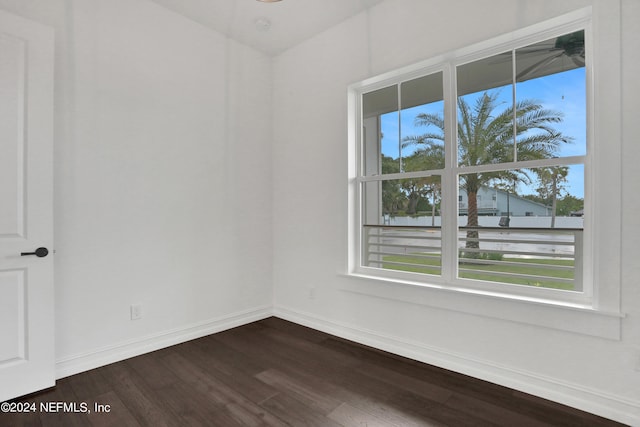 spare room featuring a wealth of natural light and dark hardwood / wood-style flooring