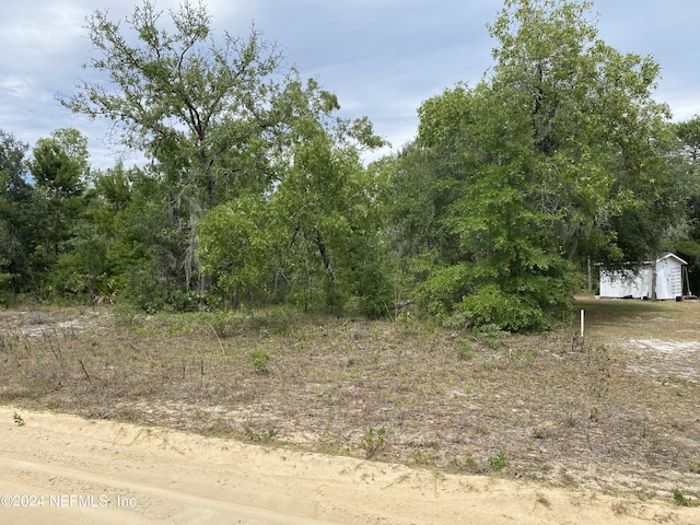 Listing photo 3 for LOT15 Guy Ave, Interlachen FL 32148