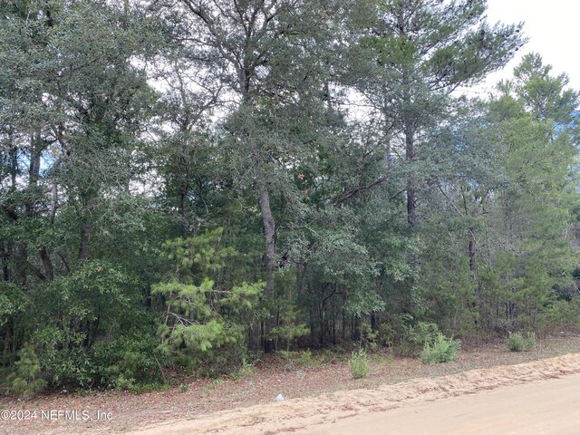 Listing photo 2 for LOT63 Riley Dr, Interlachen FL 32148