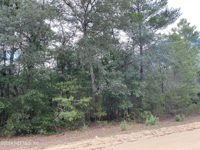 Listing photo 2 for LOT63 Riley Dr, Interlachen FL 32148