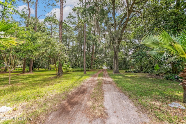 view of street with dirt driveway