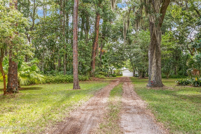 view of street featuring driveway