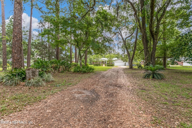 view of road featuring driveway