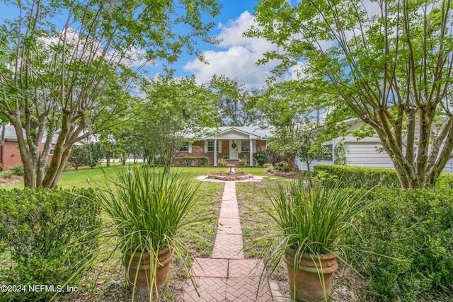 view of front of home featuring a front yard and brick siding