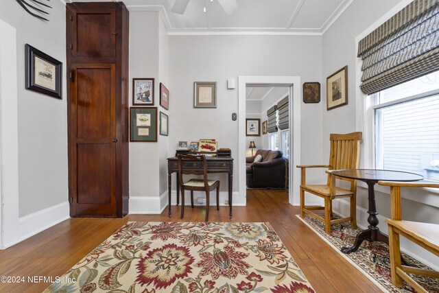 office featuring ceiling fan, ornamental molding, and hardwood / wood-style floors