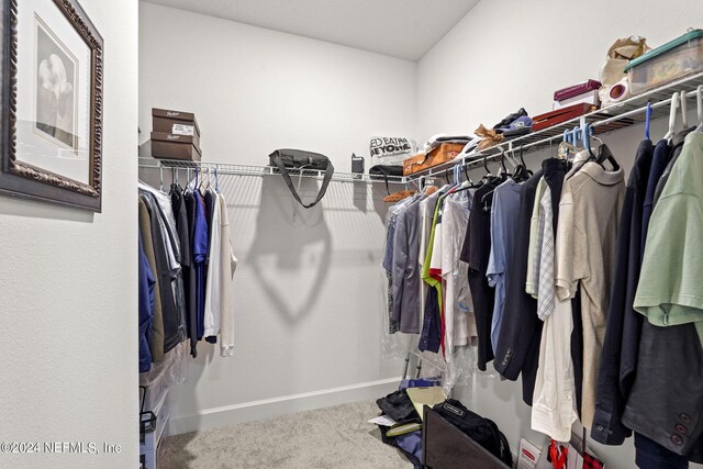 walk in closet with carpet floors