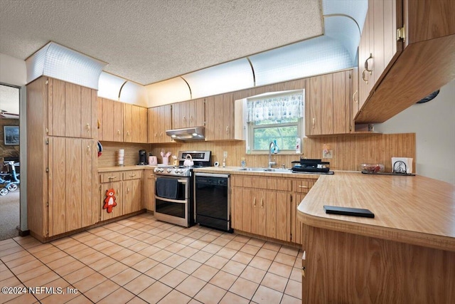 kitchen featuring sink, dishwasher, a textured ceiling, and stainless steel range