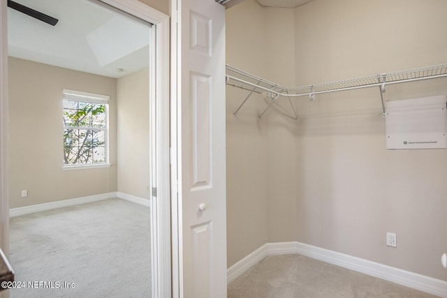 walk in closet featuring carpet