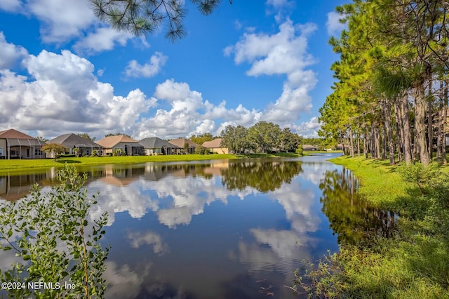 water view with a residential view