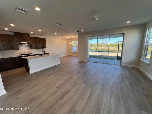 kitchen featuring tasteful backsplash, dark brown cabinets, sink, and light hardwood / wood-style floors