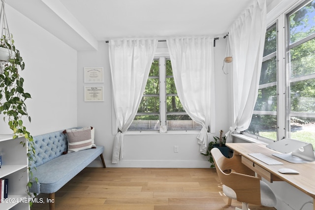 sitting room featuring plenty of natural light and light hardwood / wood-style floors