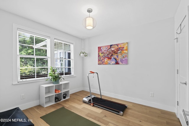 workout area featuring hardwood / wood-style flooring