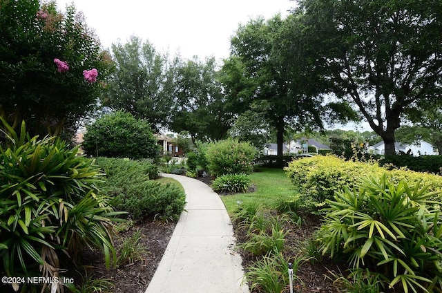 surrounding community featuring a lawn