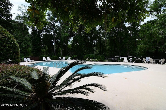 view of swimming pool featuring a patio area