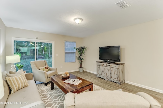 living room featuring hardwood / wood-style floors