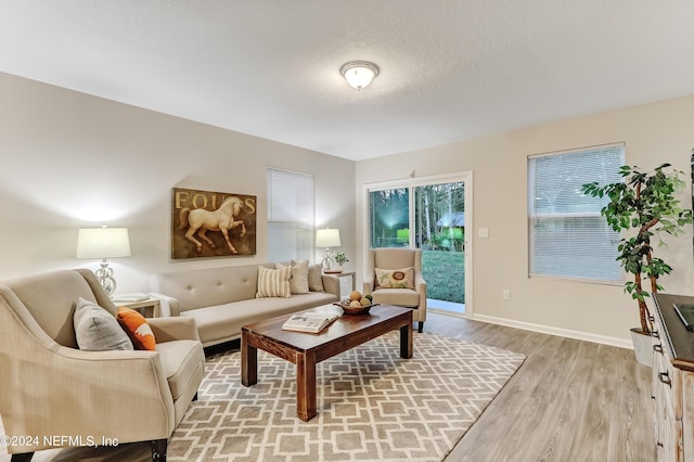 living room with light hardwood / wood-style flooring and a textured ceiling