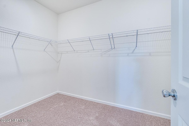 walk in closet featuring carpet floors