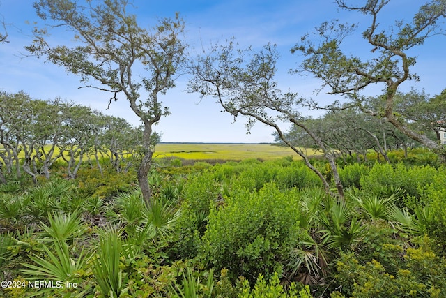 view of nature featuring a rural view